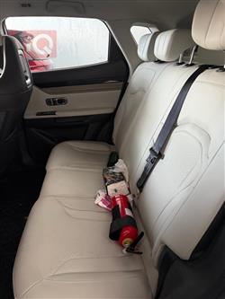 جیتۆر داشينگ